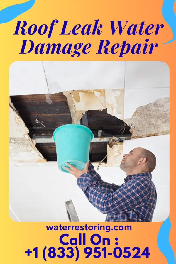 Roof Leak Water Damage Repair in Browns Valley, MN
